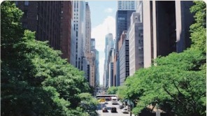 Where to Stay in New York